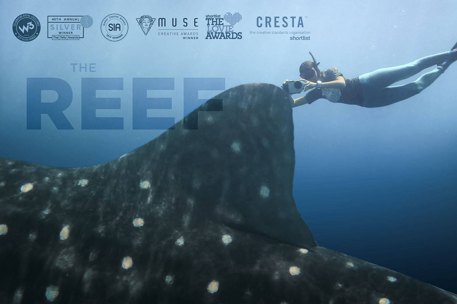 The Reef by Sven Dreesbach #shotoniphone